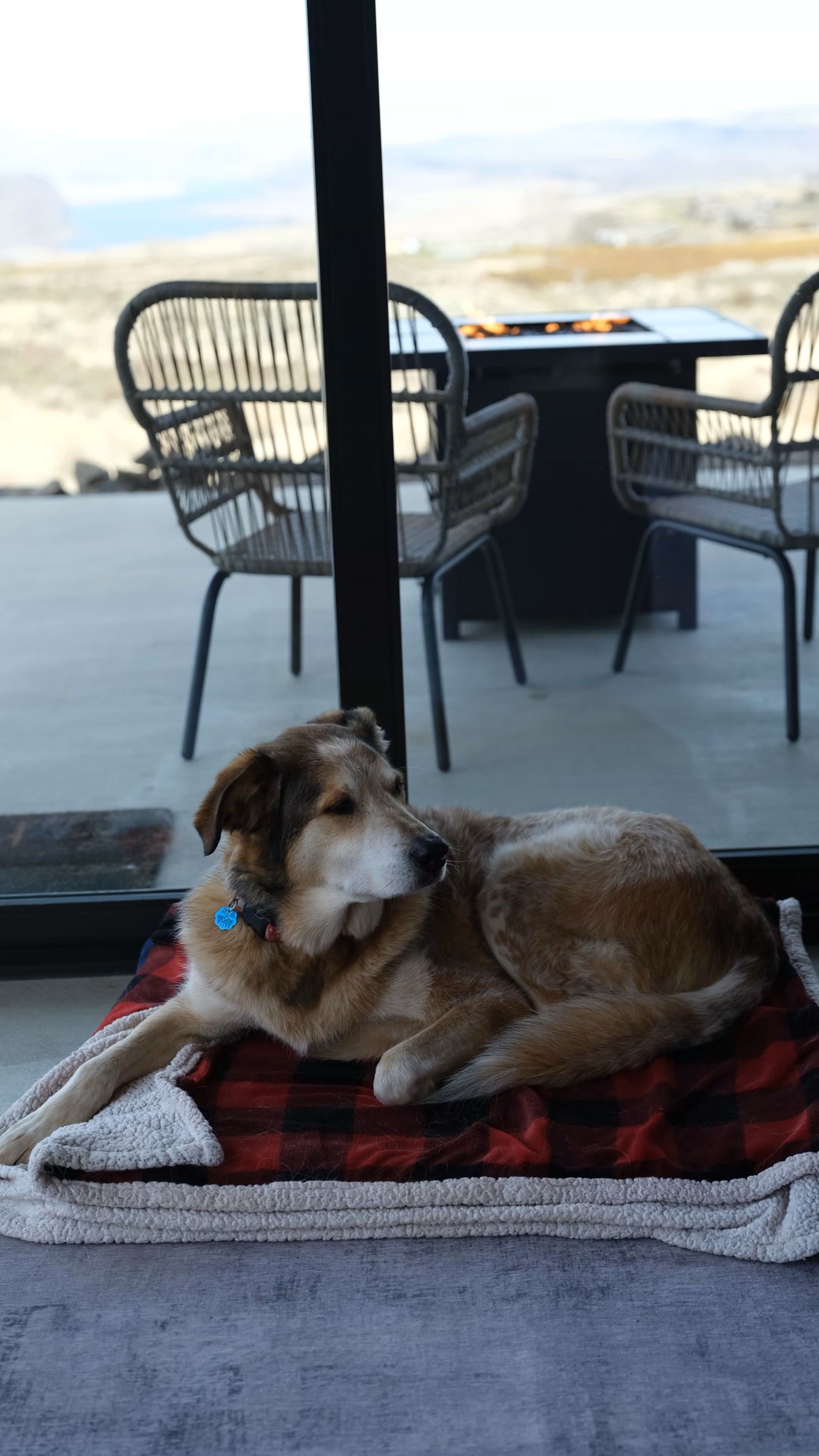 A dog curled by the fire pit with the winter river view beyond